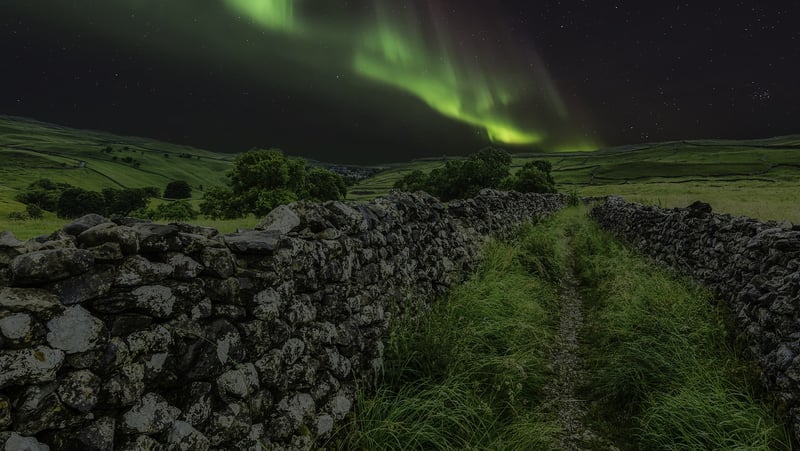 Aurora Beauty